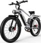 Elektrinis dviratis Duotts F26, pilkas kaina ir informacija | Elektriniai dviračiai | pigu.lt