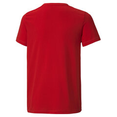 Puma marškinėliai berniukams, raudoni kaina ir informacija | Marškinėliai berniukams | pigu.lt