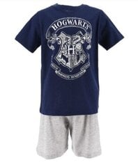 Детская пижама Hogwarts HarryPotter, тёмно-синий /серый цена и информация | Пижамы, халаты для мальчиков | pigu.lt