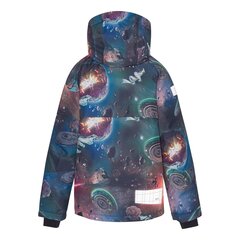 Детская куртка Molo синий/зелёный цена и информация | Куртка для мальчика | pigu.lt