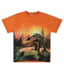 Детская футболка Roxo Molo, оранжевый/черный цена и информация | Рубашка для мальчиков | pigu.lt