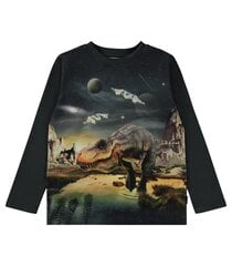 Детская футболка Reif Molo, черный 5715084469067 цена и информация | Рубашки для мальчиков | pigu.lt