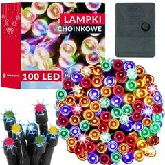 Kalėdinės lemputės Springos CL0128 100 Led 8,5 m kaina ir informacija | Girliandos | pigu.lt