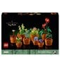 10329 LEGO® Icons Miniatiūriniai augalai kaina ir informacija | Konstruktoriai ir kaladėlės | pigu.lt