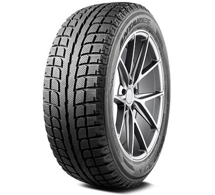 Antares Grip 20 155/65 R14 75T цена и информация | Žieminės padangos | pigu.lt