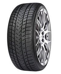 GRIPMAX Suregrip Pro Winter 265/30R19 93V XL цена и информация | Зимняя резина | pigu.lt