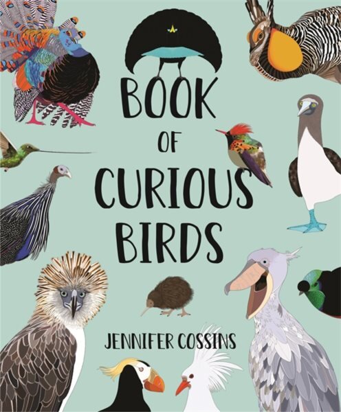 Book of Curious Birds kaina ir informacija | Knygos mažiesiems | pigu.lt