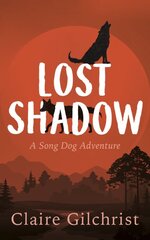 Lost Shadow цена и информация | Книги для подростков  | pigu.lt