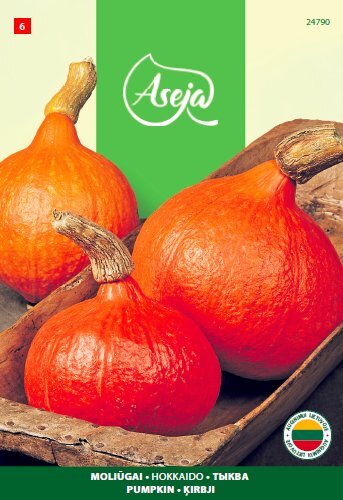 Moliūgai Hokkaido /Pumpkin/, ASEJA, 2,5g, 24790( 6 ) цена и информация | Daržovių, uogų sėklos | pigu.lt