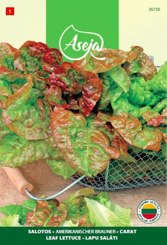 Sėjamosios salotos /Leaf lettuce / Americanischer Brauner, ASEJA, 2g, 26750( 1 ) kaina ir informacija | Daržovių, uogų sėklos | pigu.lt