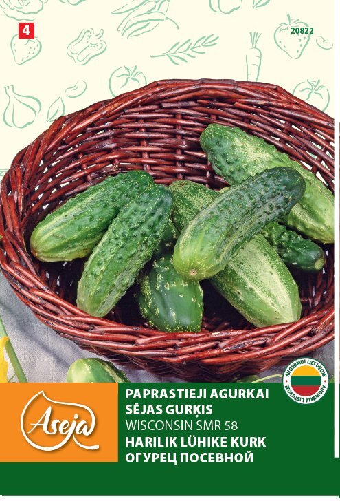 Paprastieji trumpavaisiai agurkai /Cucumber/ Wisconsin Smr 58, ASEJA, 3g , 20822( 4 ) kaina ir informacija | Daržovių, uogų sėklos | pigu.lt