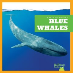 Blue Whales kaina ir informacija | Knygos paaugliams ir jaunimui | pigu.lt