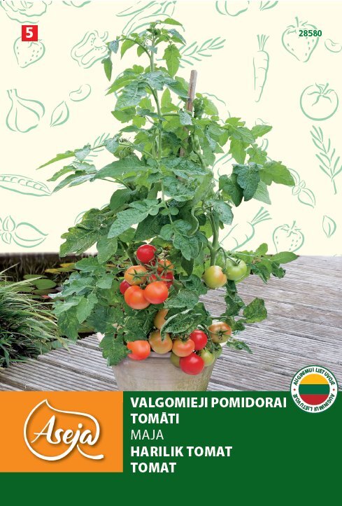 Valgomieji pomidorai /Balconytomato/ Maja, ASEJA, 0,25g , 28580( 5 ) kaina ir informacija | Daržovių, uogų sėklos | pigu.lt