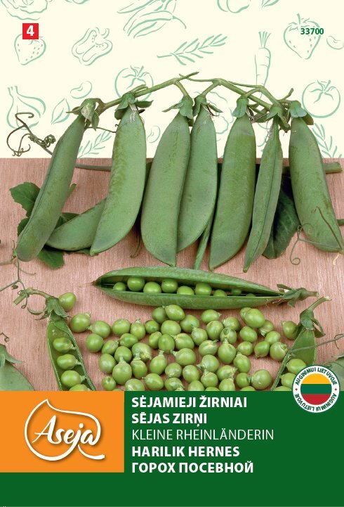 Sėjamieji žirniai /Peas/ Kleine Rheinlanderin, ASEJA, 25g , 33700( 4 ) kaina ir informacija | Daržovių, uogų sėklos | pigu.lt