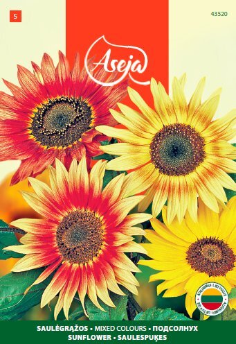 Saulėgrąža /Sunflower/ Mixed colours, ASEJA, 2,5g, 43520( 5 ) kaina ir informacija | Gėlių sėklos | pigu.lt