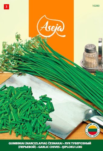 Gumbiniai (narcizlapiai) česnakai /Garlic Chives/, ASEJA, 0,75g, 10280( 3 ) цена и информация | Prieskonių sėklos | pigu.lt