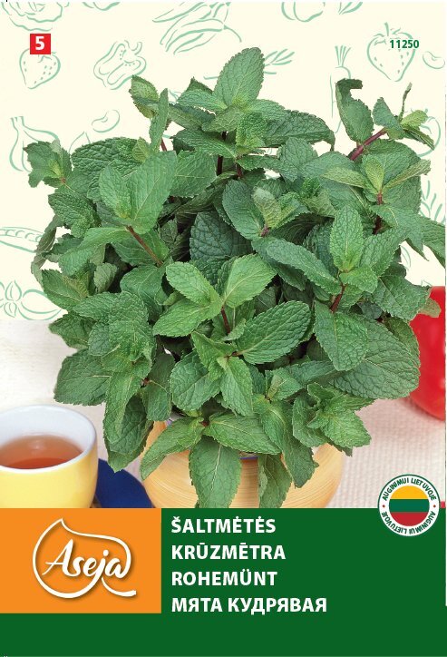 Šaltmėtės /Spearmint/, ASEJA, 0,1g , 11250( 5 ) цена и информация | Prieskonių sėklos | pigu.lt