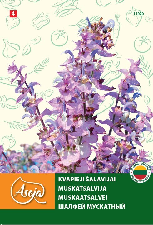 Kvapieji šalavijai /Salvia sclarea/, ASEJA, 1g , 11920( 4 ) kaina ir informacija | Prieskonių sėklos | pigu.lt