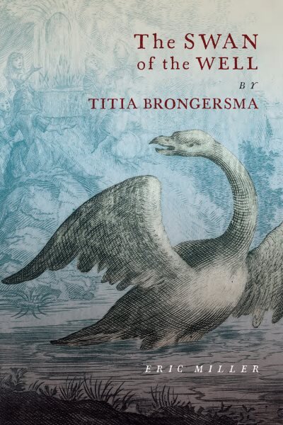 Swan of the Well by Titia Brongersma цена и информация | Poezija | pigu.lt