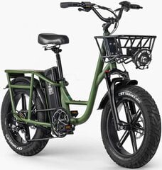 Электровелосипед Fiido T1 PRO, зеленый, 750Вт, 20Ач цена и информация | Электровелосипеды | pigu.lt