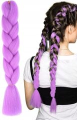 Sintetiniai plaukai, violetinės spalvos pynė, WA1 цена и информация | Аксессуары для волос | pigu.lt