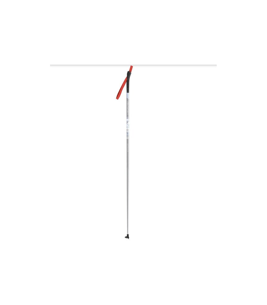 Kalnų slidinėjimo lazdos Apollo, 100 cm kaina ir informacija | Lygumų slidinėjimo lazdos | pigu.lt