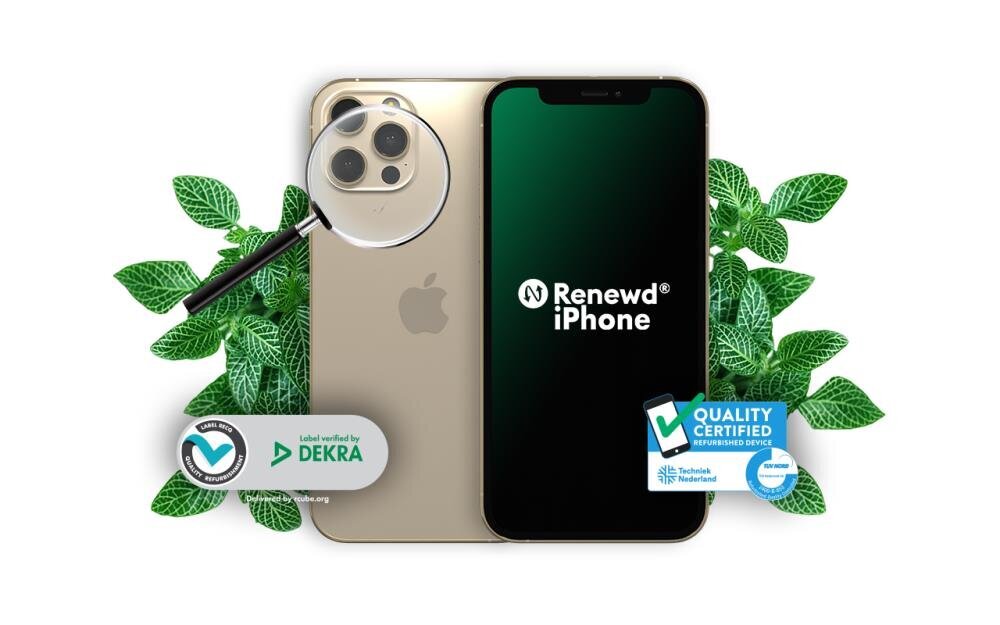 Renewd® iPhone 12 Pro Max 128GB RND-P213128 Gold kaina ir informacija | Mobilieji telefonai | pigu.lt