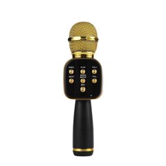 Royal Song V669 auksinis kaina ir informacija | Mikrofonai | pigu.lt