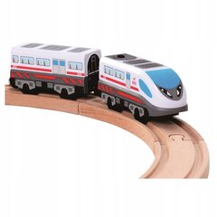 Akumuliatorinis greitasis traukinys Bino kaina ir informacija | Žaislai berniukams | pigu.lt