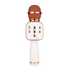 Royal Song V669 rausvas kaina ir informacija | Mikrofonai | pigu.lt