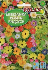 Смесь семян Лианы Polan, 2 г цена и информация | Семена цветов | pigu.lt