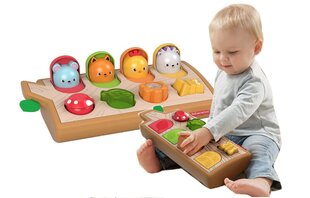 Lavinamasis žaislas rūšiuoklė Fisher Price kaina ir informacija | Žaislai kūdikiams | pigu.lt