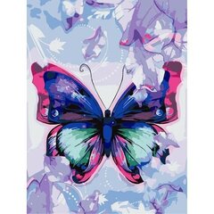 Tapyba pagal skaičius Art&Wine Butterfly, 30x40 cm kaina ir informacija | Tapyba pagal skaičius | pigu.lt