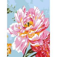 Tapyba pagal skaičius Art&Wine Peony, 30x40 cm kaina ir informacija | Tapyba pagal skaičius | pigu.lt