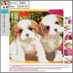 Алмазная мозаика 5D "Puppies" 20x20cm цена и информация | Алмазная мозаика | pigu.lt