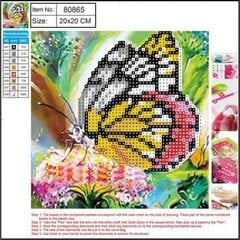 Алмазная мозаика 5D "Butterfly" 20x20cm цена и информация | Алмазная мозаика | pigu.lt