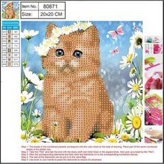 Алмазная мозаика  5D "Kitty" 20x20cm цена и информация | Алмазная мозаика | pigu.lt