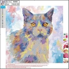 Алмазная мозаика 5D "Cat" 30x30cm цена и информация | Алмазная мозаика | pigu.lt