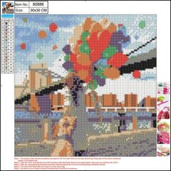 Алмазная мозаика 5D "Balloons" 30x30cm цена и информация | Алмазная мозаика | pigu.lt