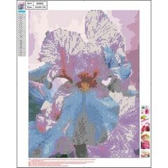 Алмазная мозаика 5D "Iris" 40x50cm цена и информация | Алмазная мозаика | pigu.lt