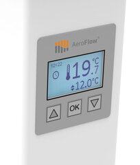 Paviršiaus laikymo radiatorius AeroFlow FlexiSmart MINI 650 W цена и информация | Обогреватели | pigu.lt