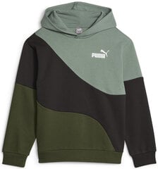 Puma Джемпер Power Cat Hoodie Fl Black Green 674232 31 674232 31/176 цена и информация | Свитеры, жилетки, пиджаки для мальчиков | pigu.lt