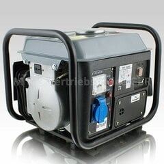 Benzininis generatorius 850W Bituxx kaina ir informacija | Elektros generatoriai | pigu.lt