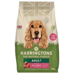 Harringtons Complete šunims su lašiša ir bulvėmis, 12kg kaina ir informacija | Sausas maistas šunims | pigu.lt