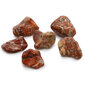 Light Jasper - Brecciated akmenys Ancient Wisdom L, 6 vnt. kaina ir informacija | Papuošalų gamybai, vėrimui | pigu.lt