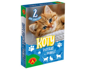 Kortų žaidimas Piotrus + Memory katės, PL kaina ir informacija | Stalo žaidimai, galvosūkiai | pigu.lt