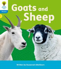 Oxford Reading Tree: Floppy's Phonics Decoding Practice: Oxford Level 3: Goats and Sheep 1 kaina ir informacija | Knygos paaugliams ir jaunimui | pigu.lt