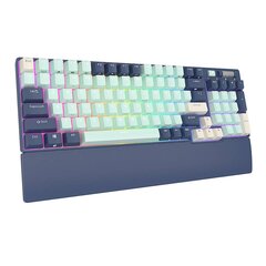 Royal Kludge RK96 черный беспроводная механическая клавиатура | 90%, Hot-swap, RGB, Red Switches, US цена и информация | Клавиатуры | pigu.lt