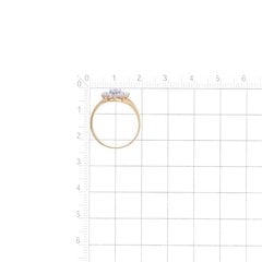 Золотое обручальное кольцо цена и информация | Кольцо | pigu.lt