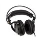 Audio Technica ATH-AVC500 цена и информация | Ausinės | pigu.lt
